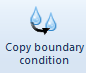 10. Copy boundary condition button