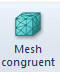 2. Mesh congruent button