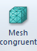 2. Mesh congruent button